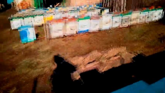 ОБЛЁТ 18 01 2019 год смотреть онлайн