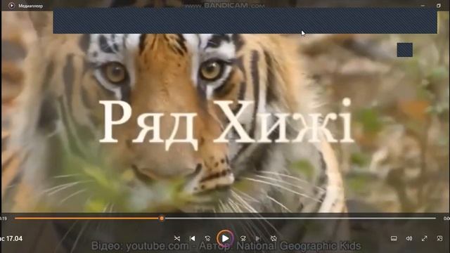 ЯПС с.29 тиждень 29