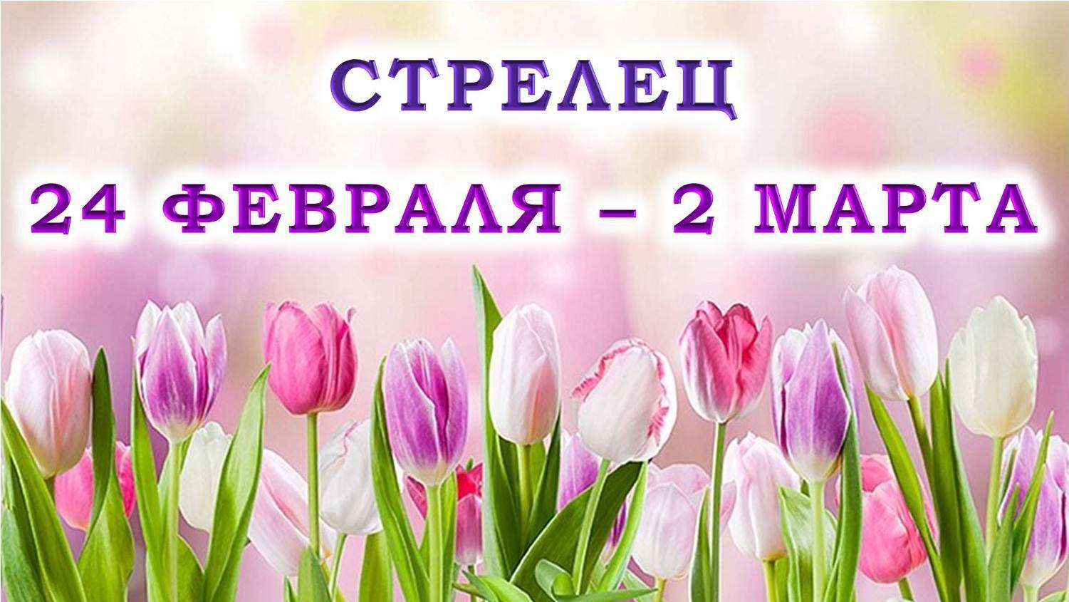 ♐ СТРЕЛЕЦ. 🌷 С 24 ФЕВРАЛЯ по 2 МАРТА 2025 г. 💖 Подробный Таро-прогноз 🫶 смотреть онлайн