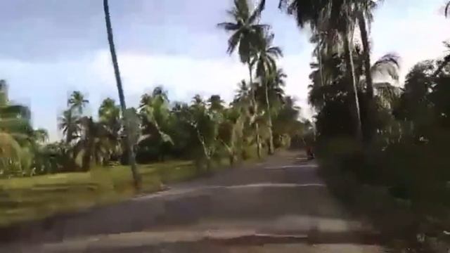 Филиппины - новости с нашей фермы #3 смотреть онлайн