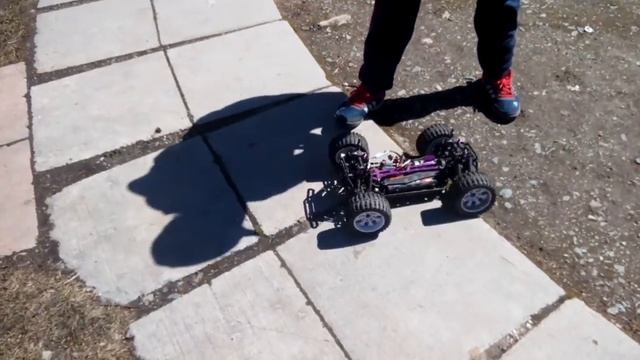 Спорт карп смотреть онлайн