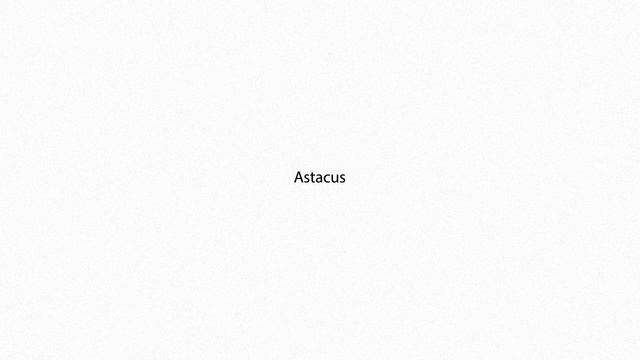 Astacus PRONUNCIATION