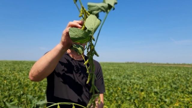 SOJA RUBIN U CURUSKOM ATARU KOD MILANA KUPRESAKA I ZORANA BUBNJEVICA 17 08 2020 смотреть онлайн