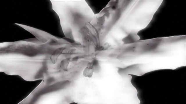 Agnellius. Les lys sur l'onde [Lilies on the water۞Лилии на воде] смотреть онлайн