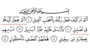 Урок №19. Сура "Аль-Филь" | Айман Сувейд