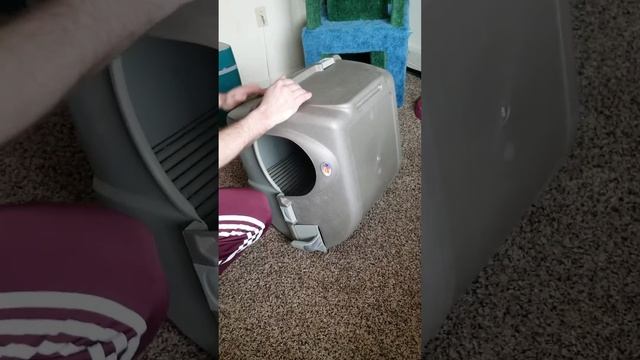 Omega Paw Litter Box Review смотреть онлайн