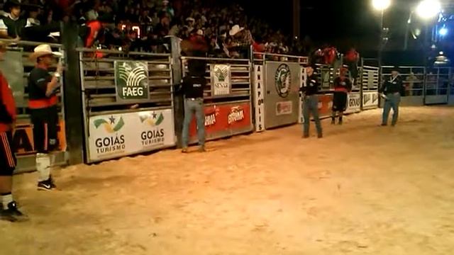 Expoana 2013 смотреть онлайн