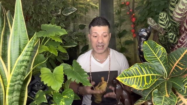 ARIES September 2022 ⭐️ COMPLETELY UNEXPECTED SITUATION IS BRINGING HUGE OPPORTUNITY Horoscope Taro смотреть онлайн