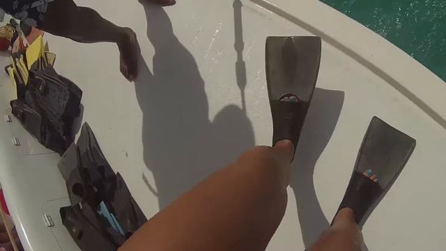 Catamarán Pelican Pier, una experiencia extrema en Aruba смотреть онлайн