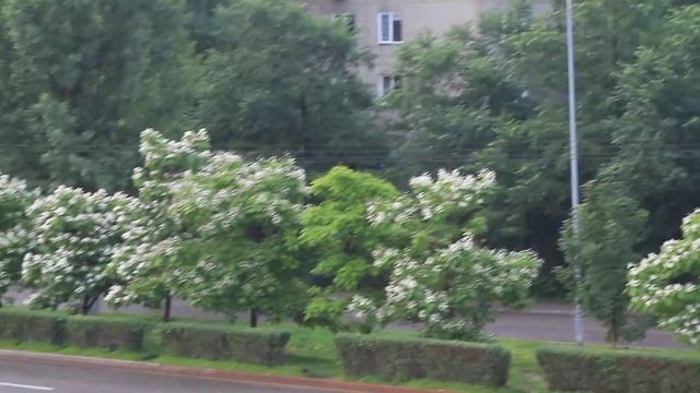 Алматы. Июнь. Улица Саина смотреть онлайн