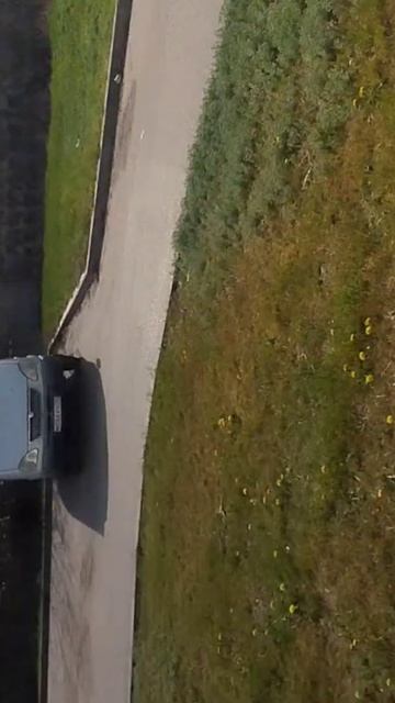 Ворона на траве, скворец в траве. смотреть онлайн