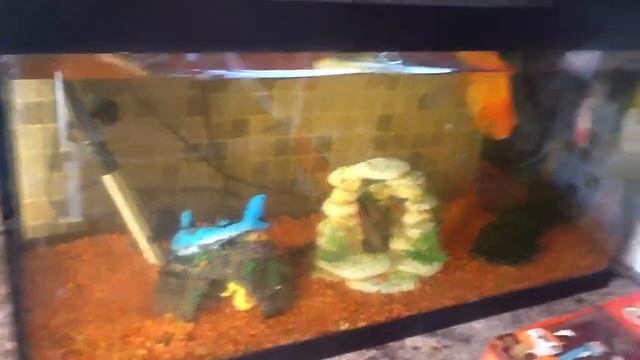 What goes on in my brand new fish tanks # 41 смотреть онлайн