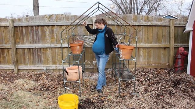 Building My #Greenstalk And Greenhouse 2 Days Before Giving Birth #supermom #moms #suburbanhomestea