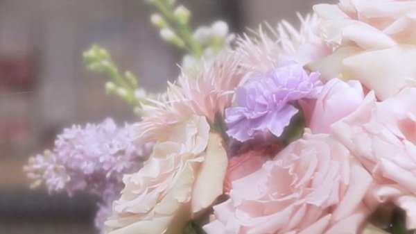 Как снять КРЕАТИВНОЕ ПОЗДРАВЛЕНИЕ ОТ ЗАСТРОЙЩИКА с 8 марта? // PRODUCTION PROFIT TEAM