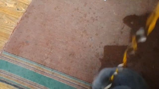 НАРЯЖАЕМ ЁЛКУ НА НОВЫЙ ГОД 2024! 🎄🐲