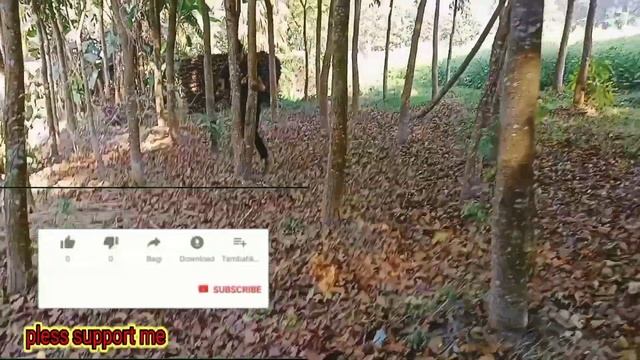 tui tui fun videos🤣/funny videos 😂 new top funny videos 2023/tui tui most wach funny#funny #tom смотреть онлайн