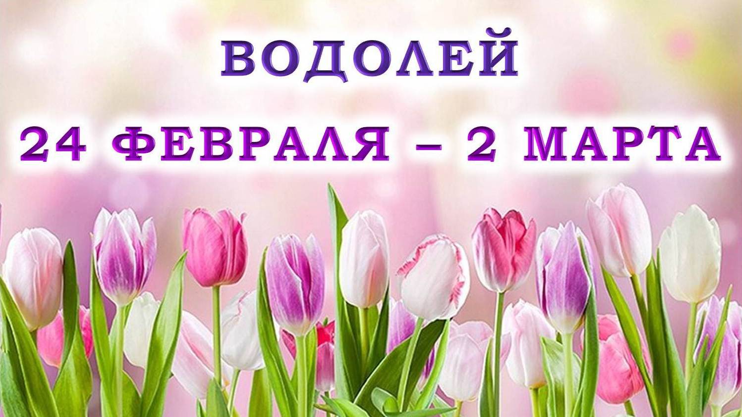 ♒ ВОДОЛЕЙ. 🌷 С 24 ФЕВРАЛЯ по 2 МАРТА 2025 г. 💖 Подробный Таро-прогноз 🫶 смотреть онлайн