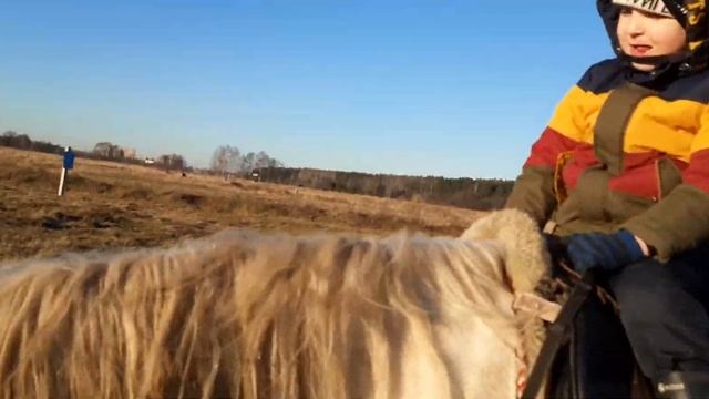 Наши дети и наши лошади смотреть онлайн
