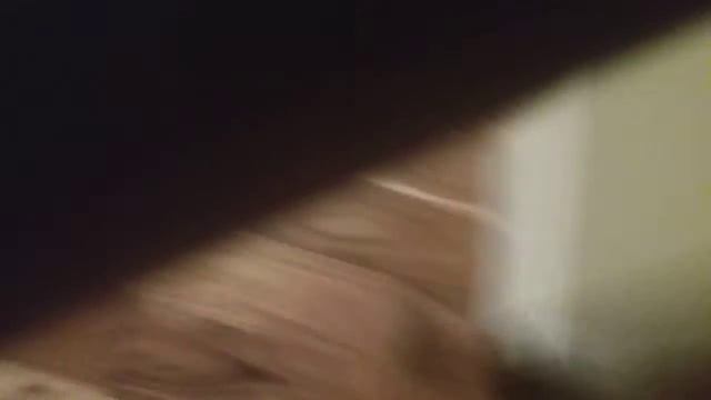 Spy Cam On Family (It Actually Worked)