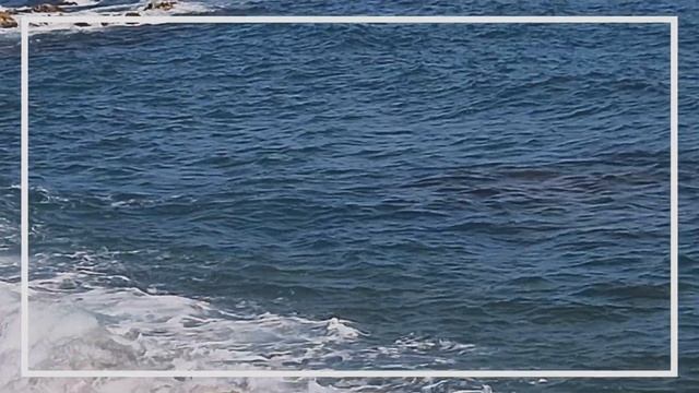 Tyla - Water (remix) VIDEOCLIP