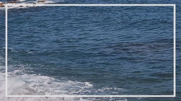 Tyla - Water (remix) VIDEOCLIP