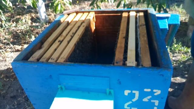 Исправление семьи трутовки смотреть онлайн