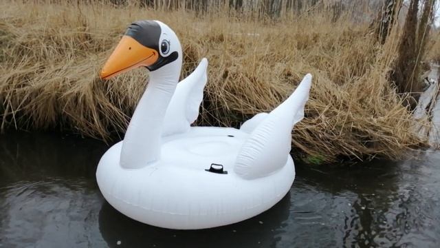 INTEX 56287 - Inflatable mega large white Swan 1.94m x 1.52m x 1.47m floating on a small river смотреть онлайн