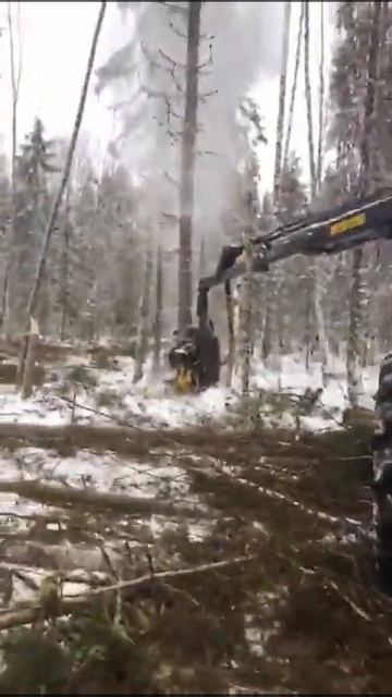 Ponsse Ergo 6W 2006 г в в работе. смотреть онлайн