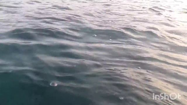 видео не очень, но свое подводной съёмки на Кипре смотреть онлайн