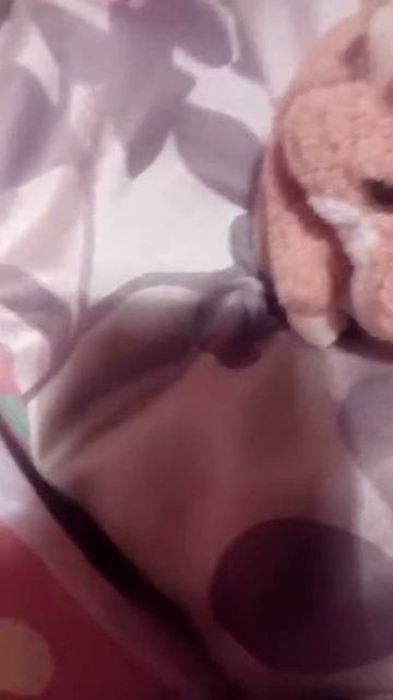 Обзор кровати моего хомяка Джерри 1 часть я. смотреть онлайн