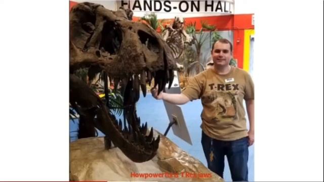 JWE 2 Dinosaur Face Off Carnotaurus vs Rexy смотреть онлайн