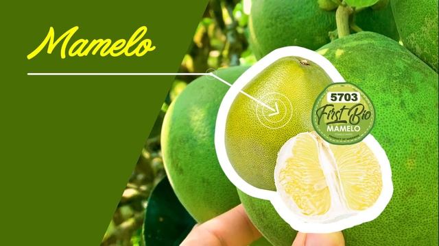 Sarawak Bintangor Honey Pomelo