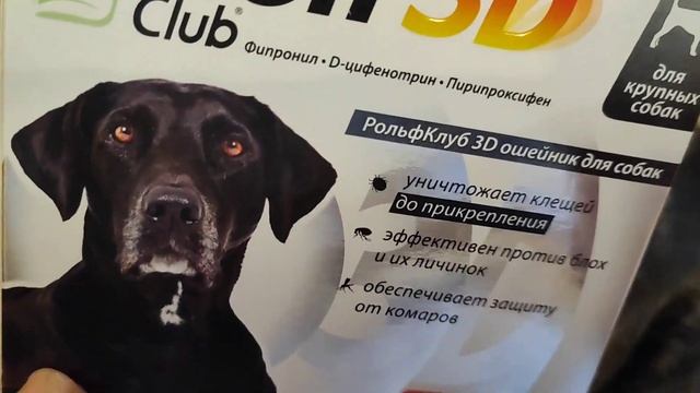 Сбор на строительство для собак/ Твикс и Матроскин подрались