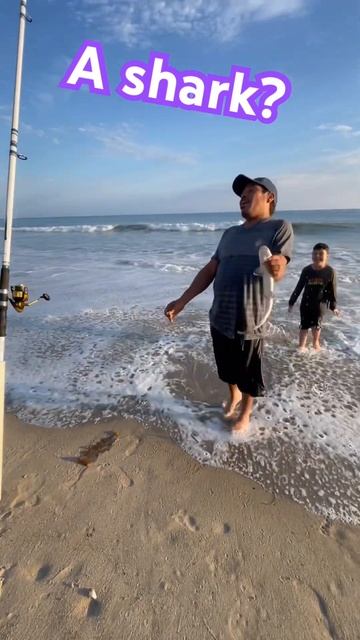 He caught a shark😳 смотреть онлайн