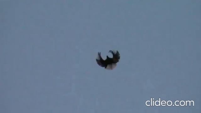 МОЛОДЁЖЬ. 2023 Г. смотреть онлайн