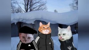 Слово кота шерсть на асфальте 5 серия