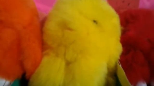 Новость от Кролики TV смотреть онлайн