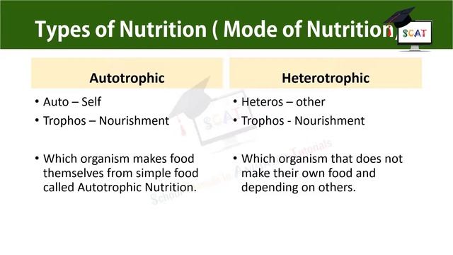Nutrition | Class 7 (science) Ch- 1 | Explained by SCAT смотреть онлайн