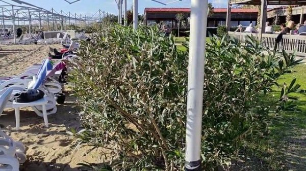 Side Royal Palace Hotel & Spa am Strand