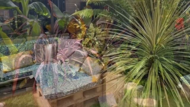 SMALL TROPICAL GARDEN TRANSFORMATION 🌴 2022 START TO FINISH 🌼🌸 #tropicalplants #tropicalgarden смотреть онлайн