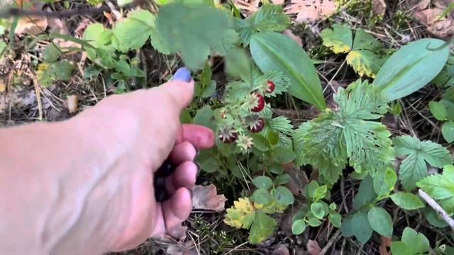 Офф-роуд по деревенски смотреть онлайн