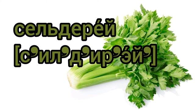 Как произносится сельдерей по-русски смотреть онлайн