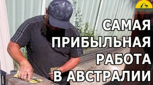 САМАЯ ПРИБЫЛЬНАЯ РАБОТА В АВСТРАЛИИ [#1Australia]#6099 #иммиграция #Австралия #эмиграция #новости