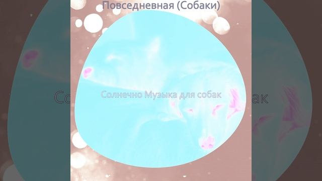 Чувство (Выгул собак) смотреть онлайн