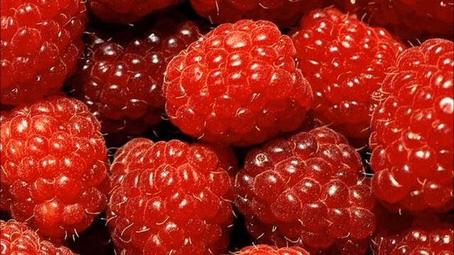 Marina Gasolina Malina Fetamina XD