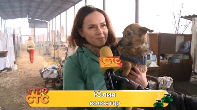 Бипси срочно нужен новый дом смотреть онлайн