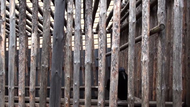 Прыжки ворона смотреть онлайн