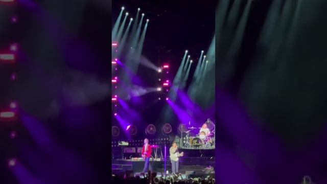 Neon Pill 💊 - Cage The Elephant 🐘 Live at The Climate Pledge Arena in Seattle, Washington 6/22/24 смотреть онлайн