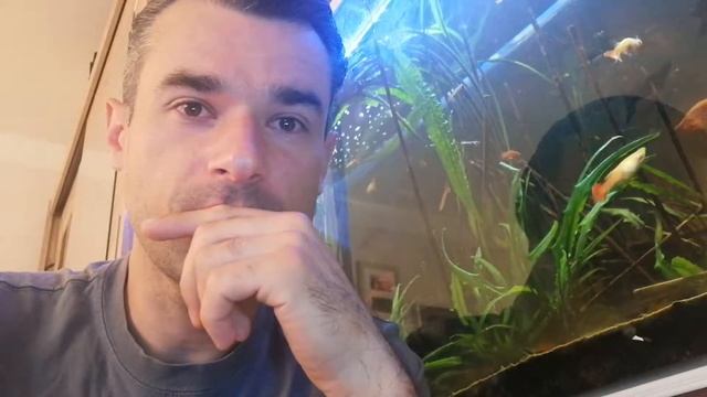 Jakie Rośliny Akwariowe Kupywać смотреть онлайн