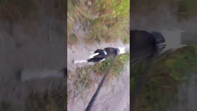 пошли на круг ⭕👌